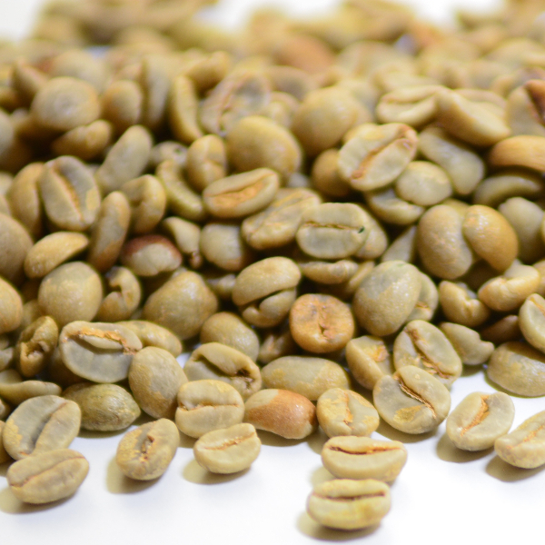 tannish white beans in a pile